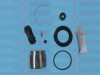 AUTOFREN SEINSA D41133C Repair Kit, brake caliper